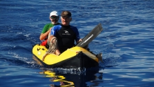 Hunt For The Giant Squid