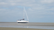 Distant Shores