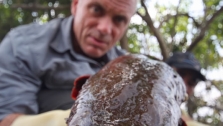 River Monsters With Jeremy Wade