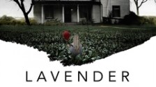 Lavender